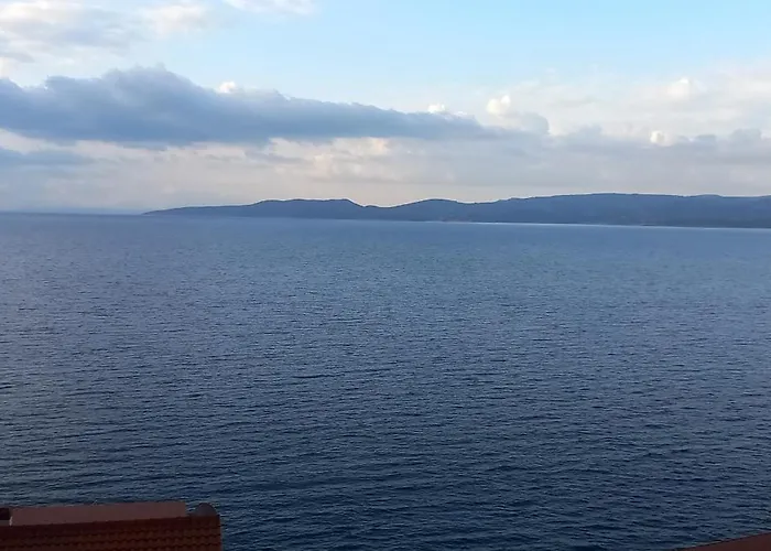 View 3* Mimice