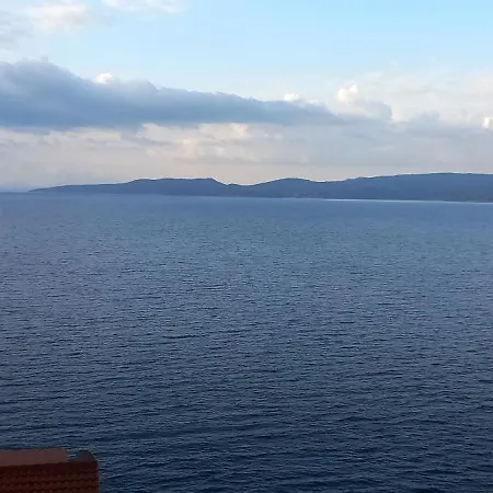 View * 麦米科